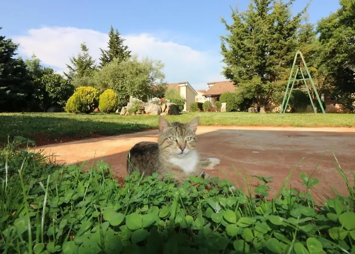 Luna By Interhome Porec